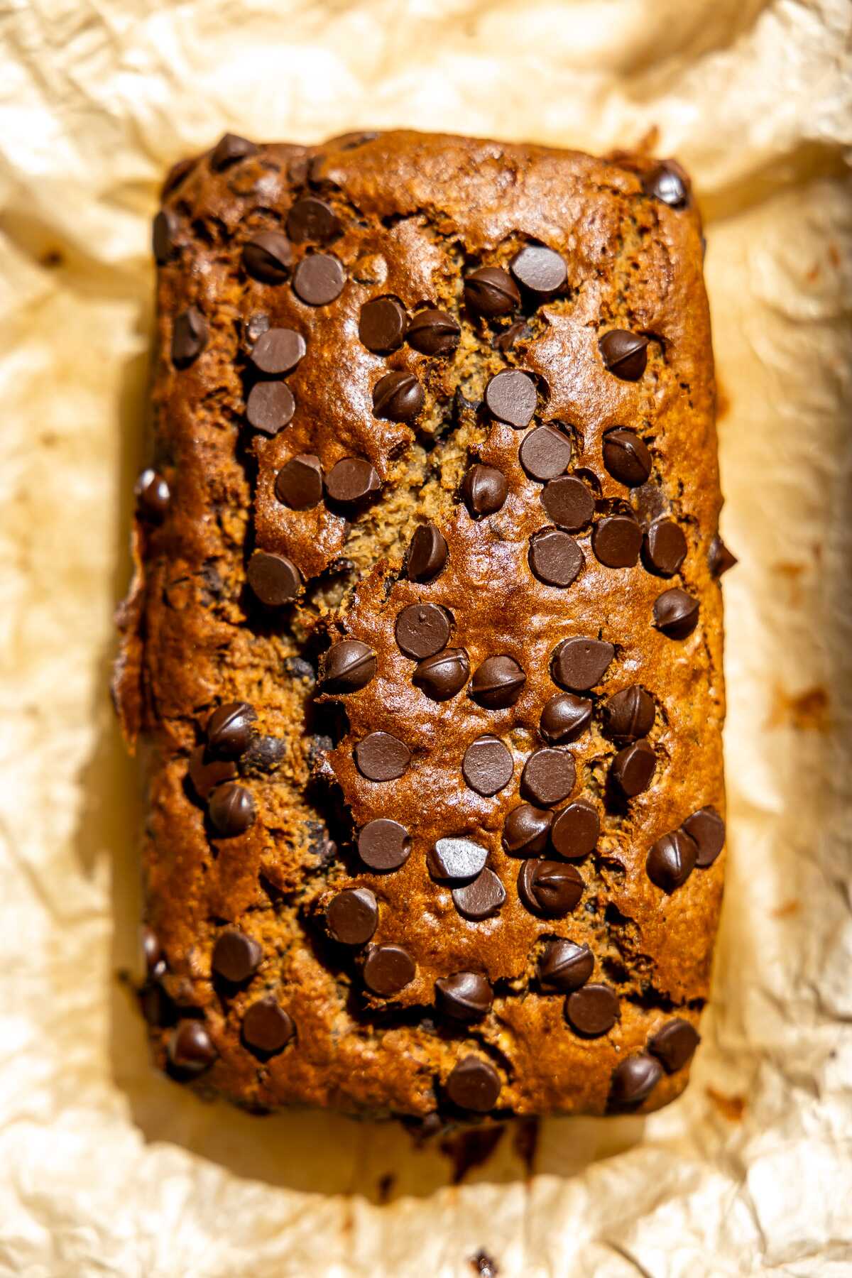 A baked loaf of gluten free chocolate chip banana bread.
