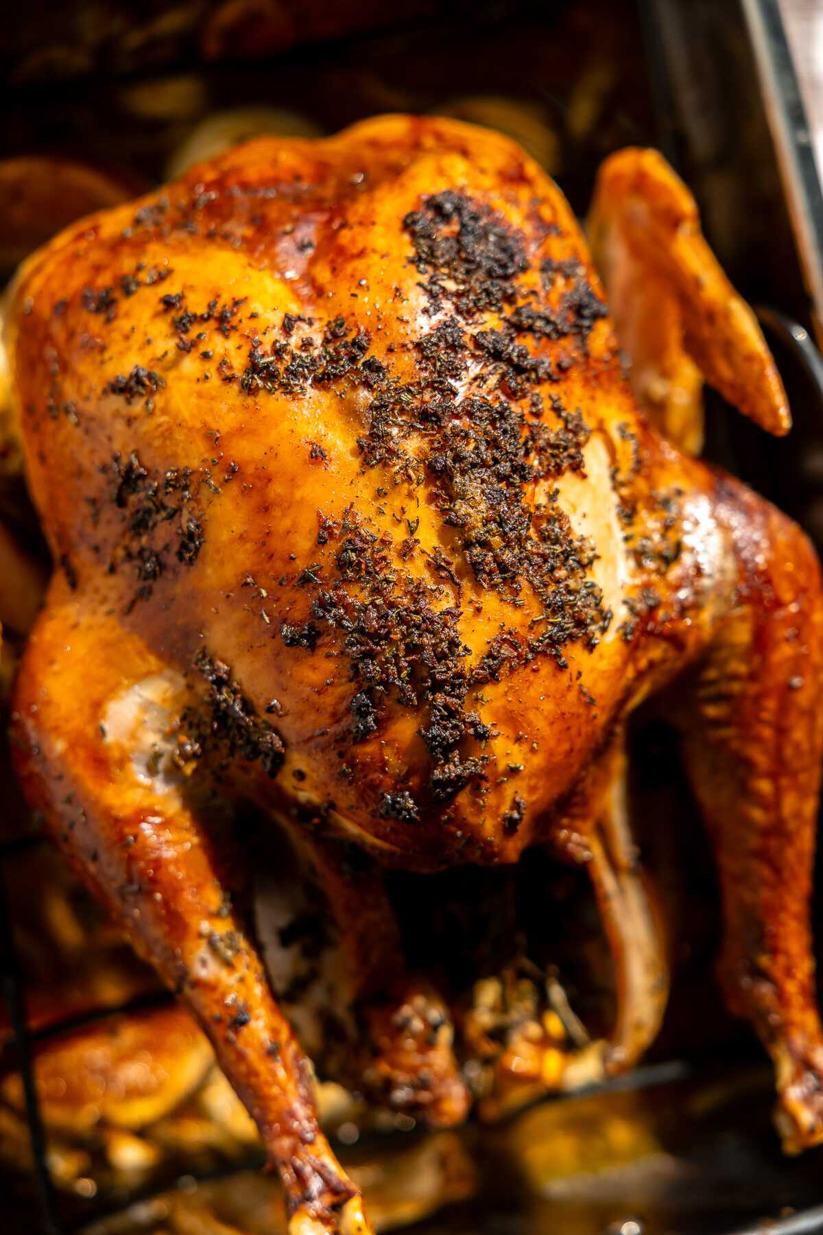 A closeup photo of a citrus herb roasted turkey.